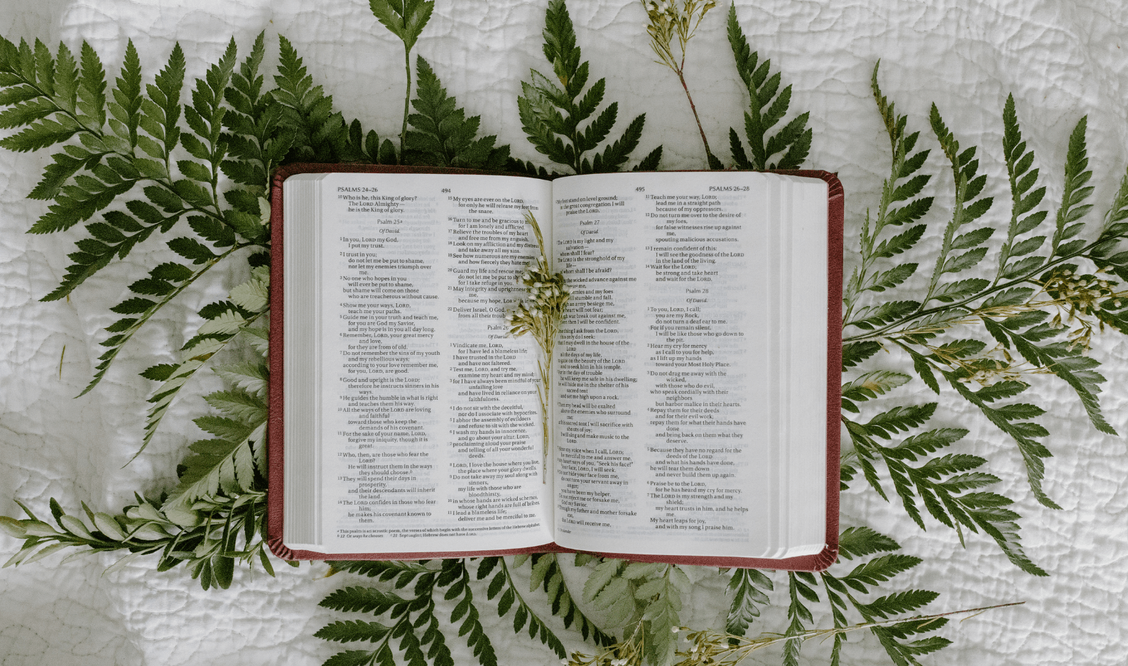 sinfulness and brokenness