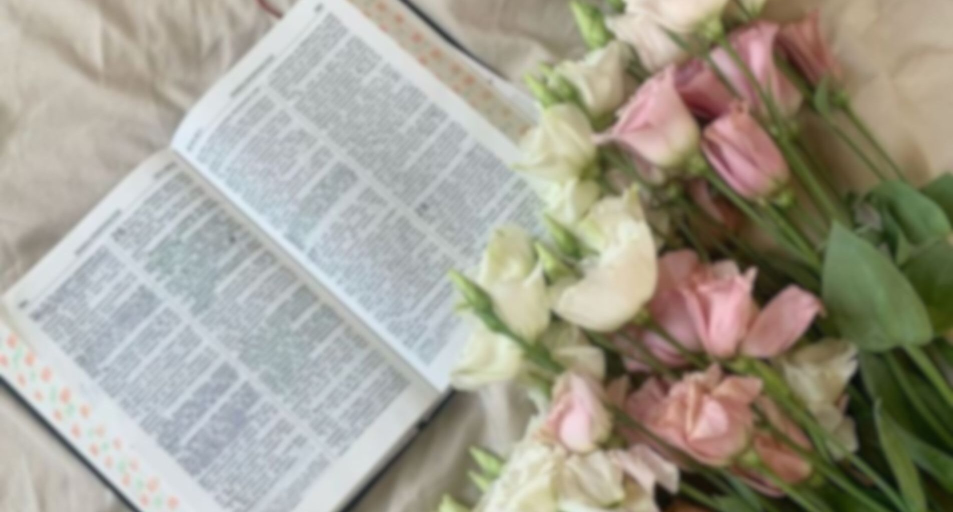 bible translation by luminacross