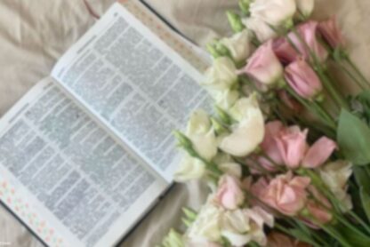 bible translation by luminacross