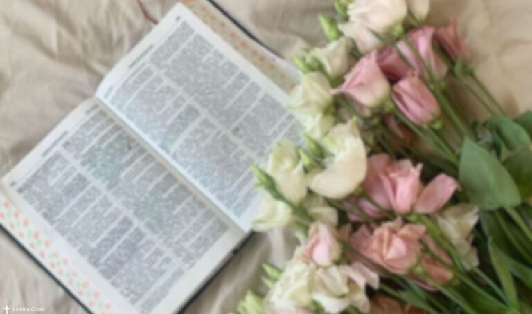 bible translation by luminacross